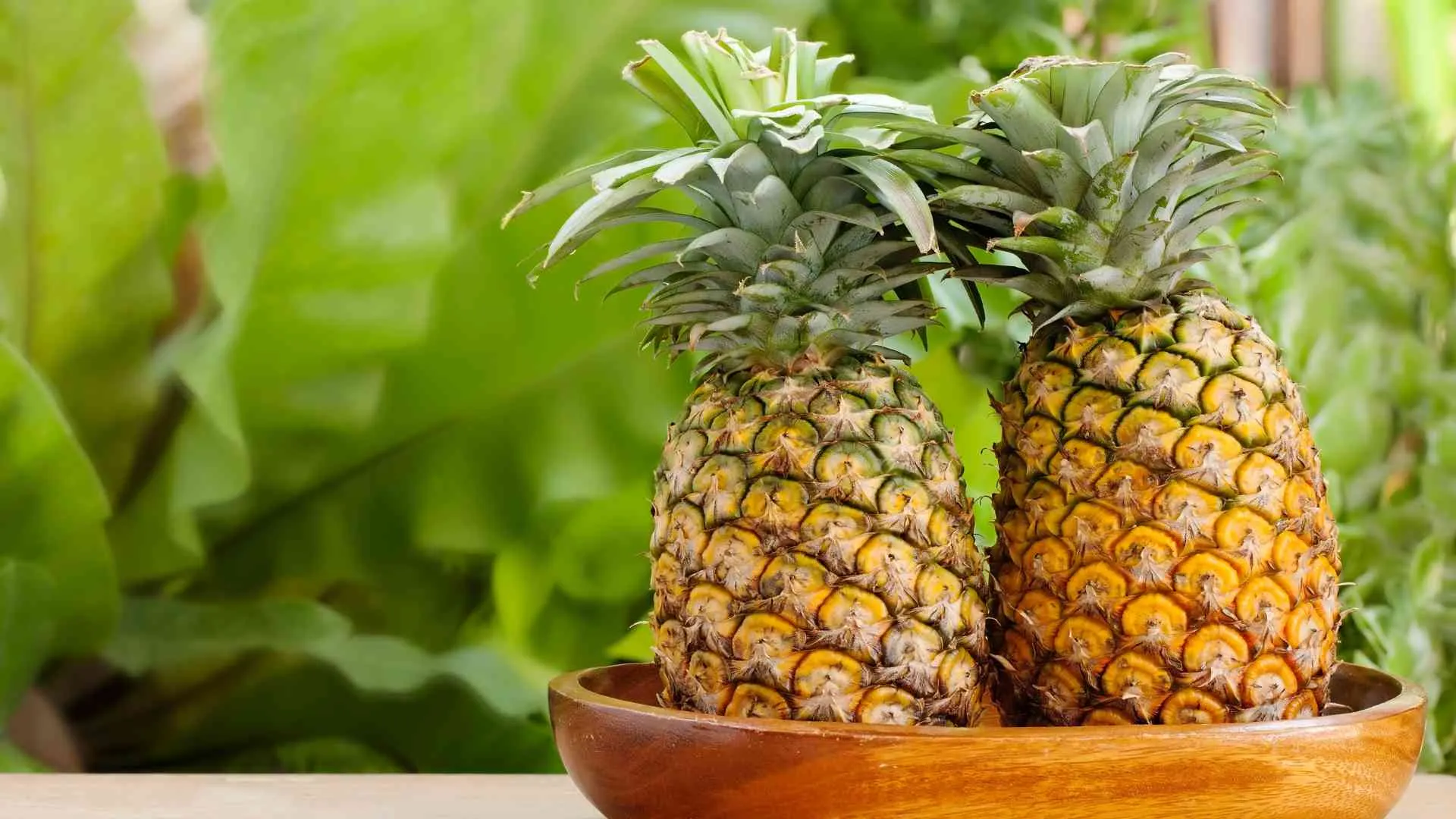 What Does a Pineapple Mean-10 What Does a Pineapple Mean-10