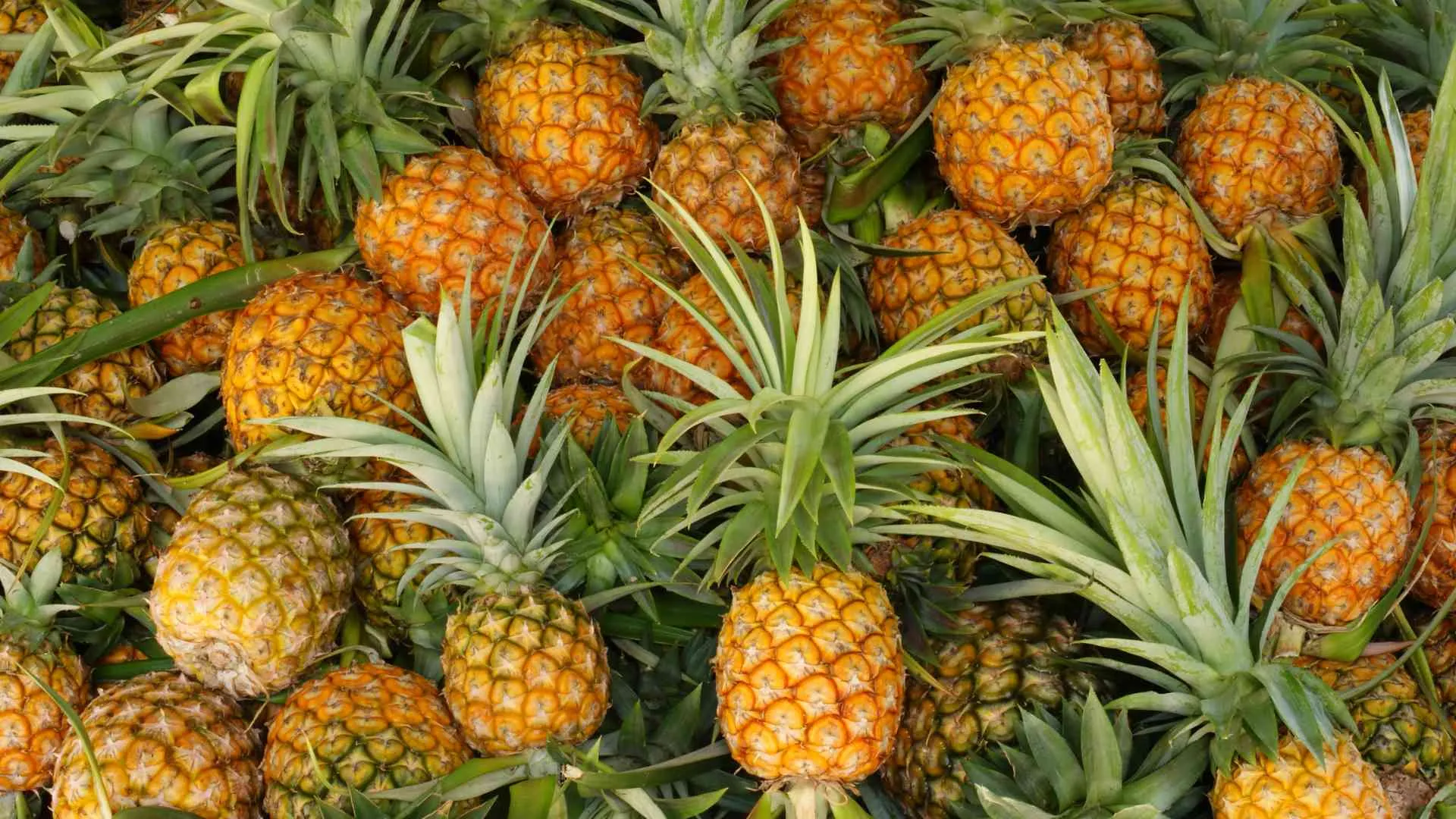 What Does a Pineapple Mean What Does a Pineapple Mean