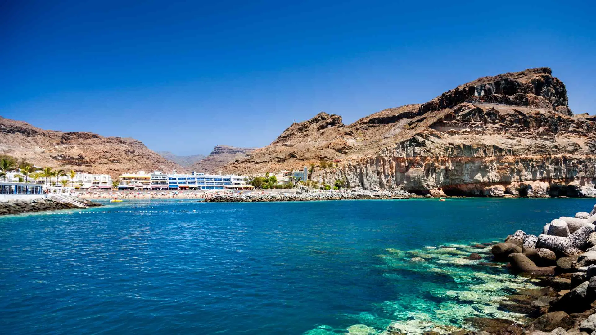 canary island canary island
