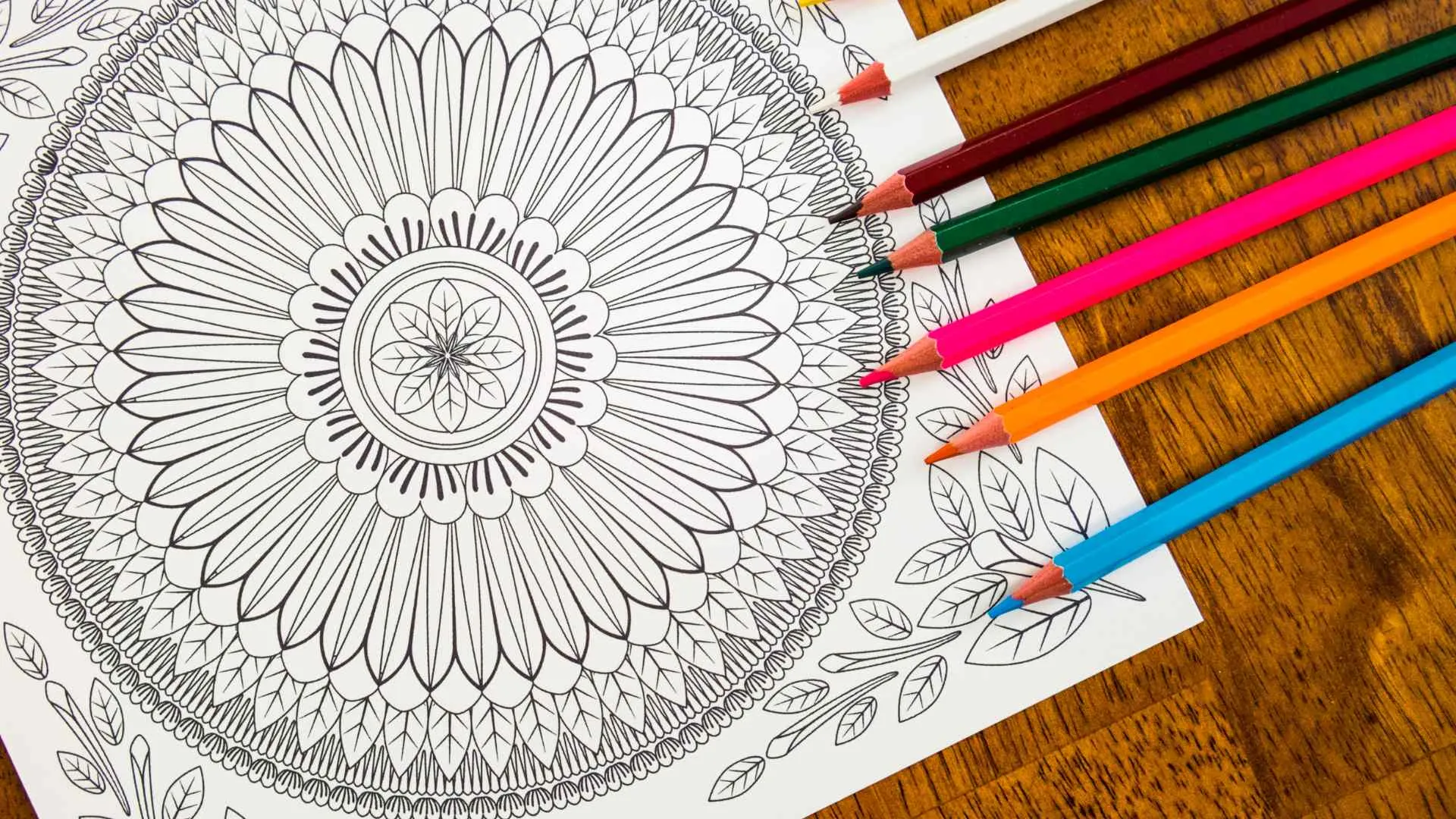 cruise packing list-20 Coloring Book