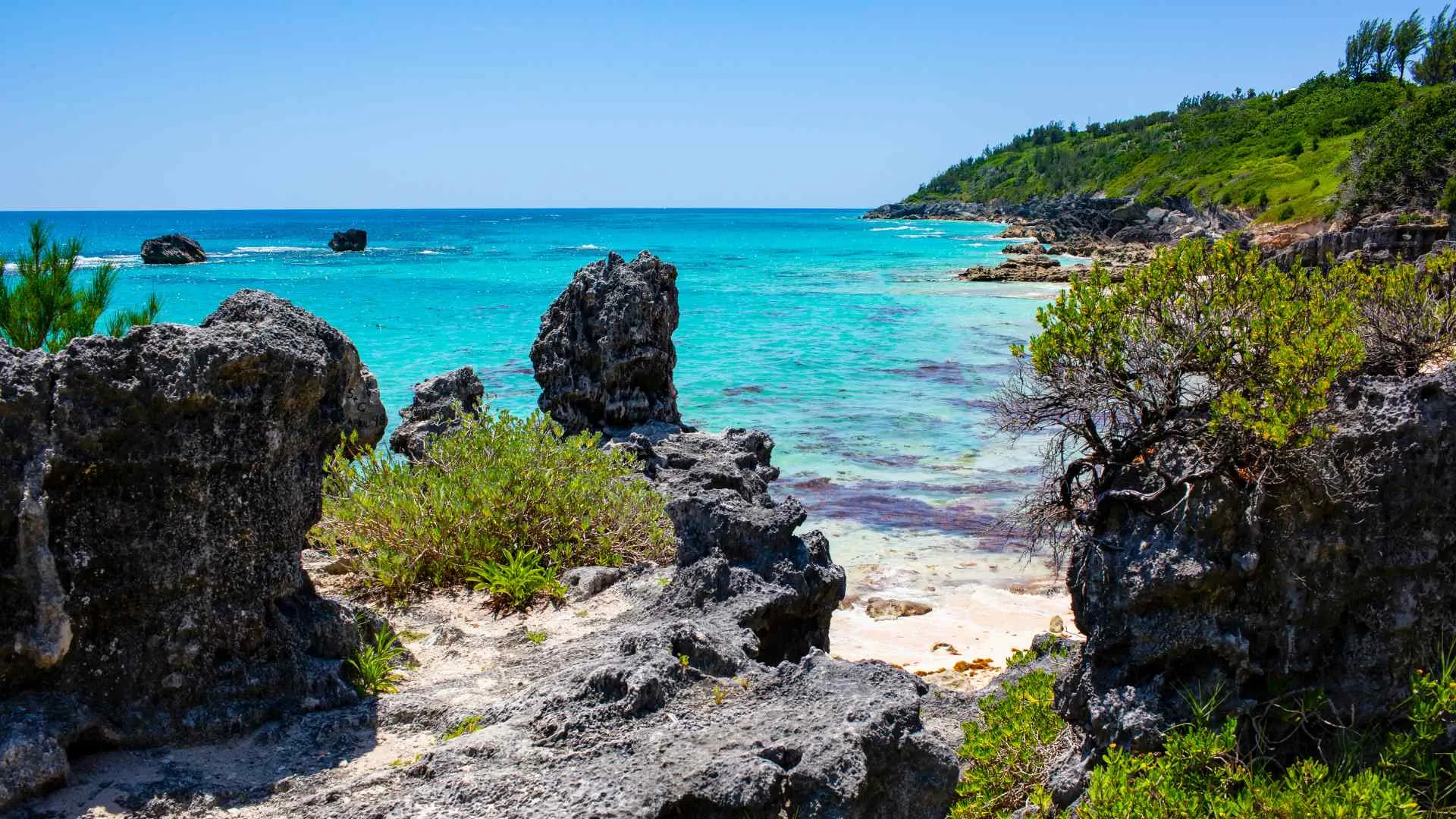 Bermuda cruises Bermuda cruises