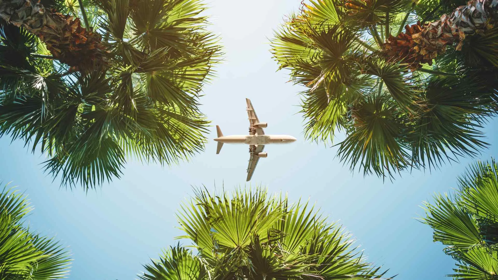 vacation vs travel
