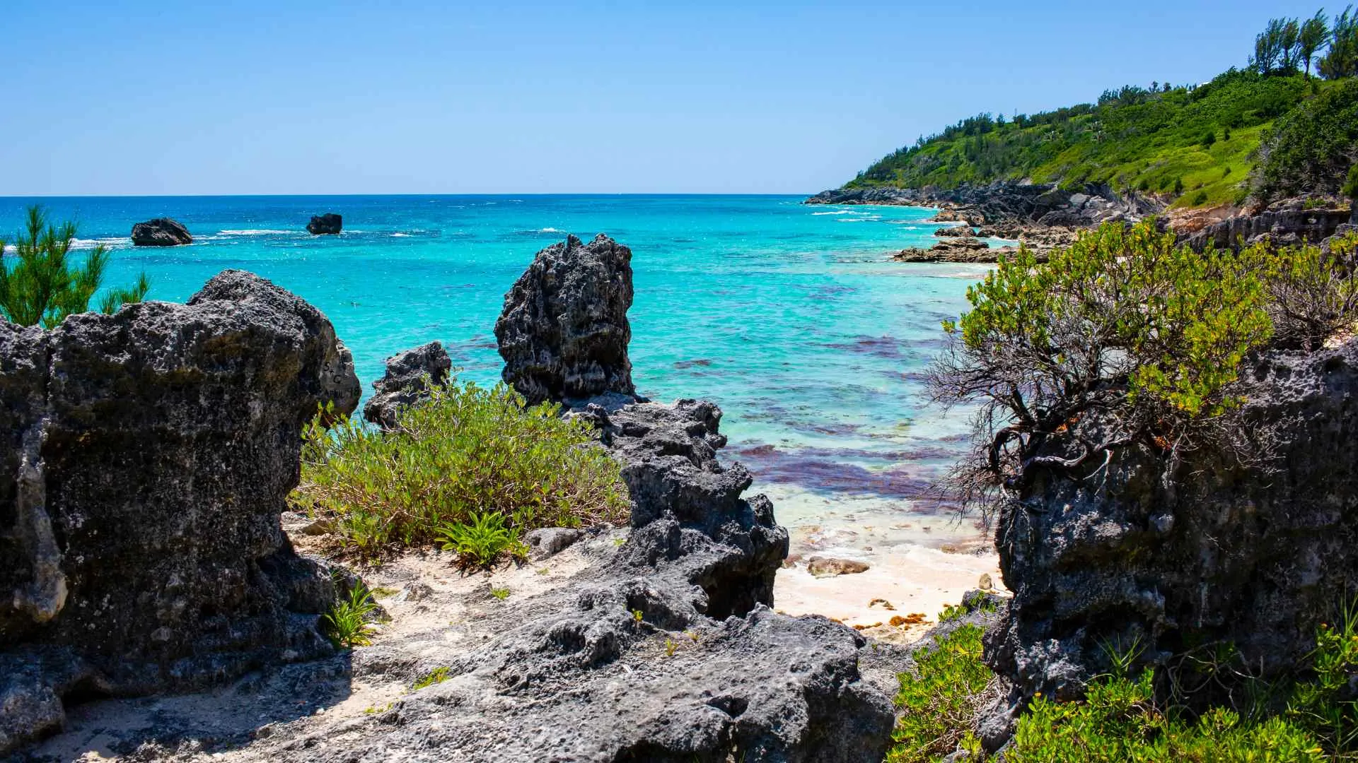 Bermuda Triangle cruises-7 Bermuda Triangle cruises-6