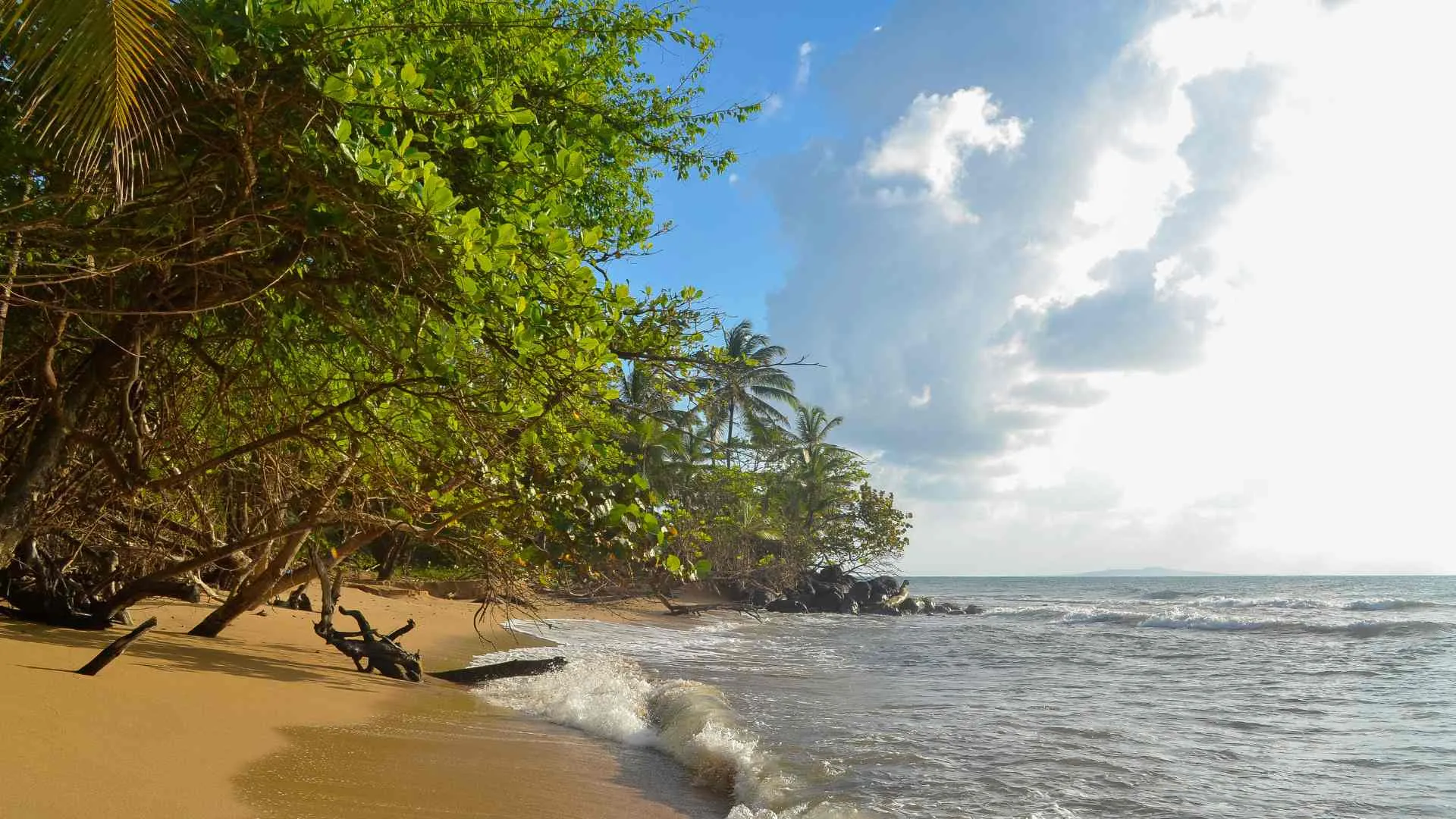 Little Corn Island Little Corn Island