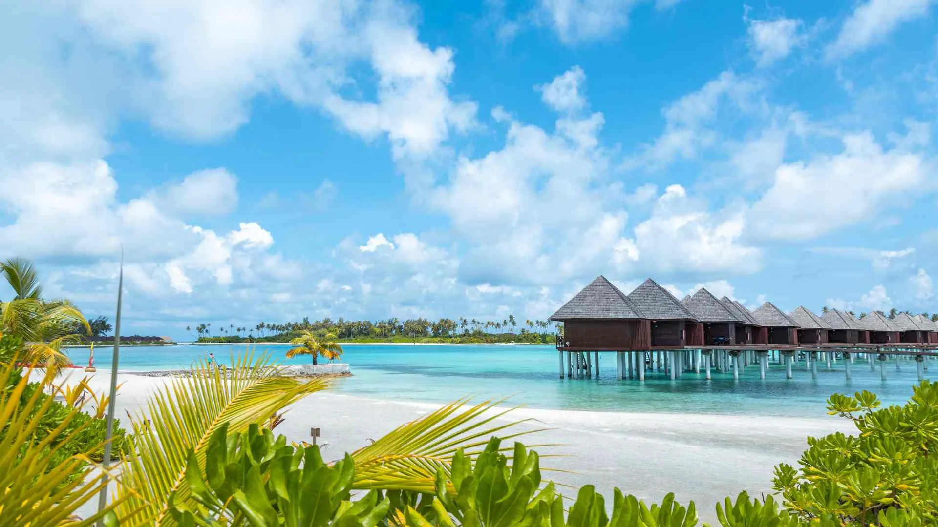 Tobacco Caye Paradise Tobacco Caye Paradise