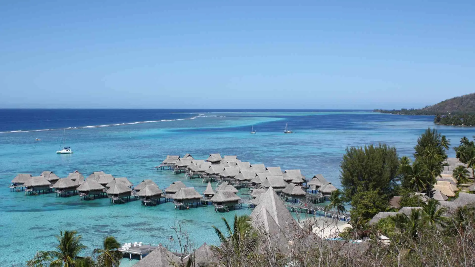 Thatch Caye Thatch Caye