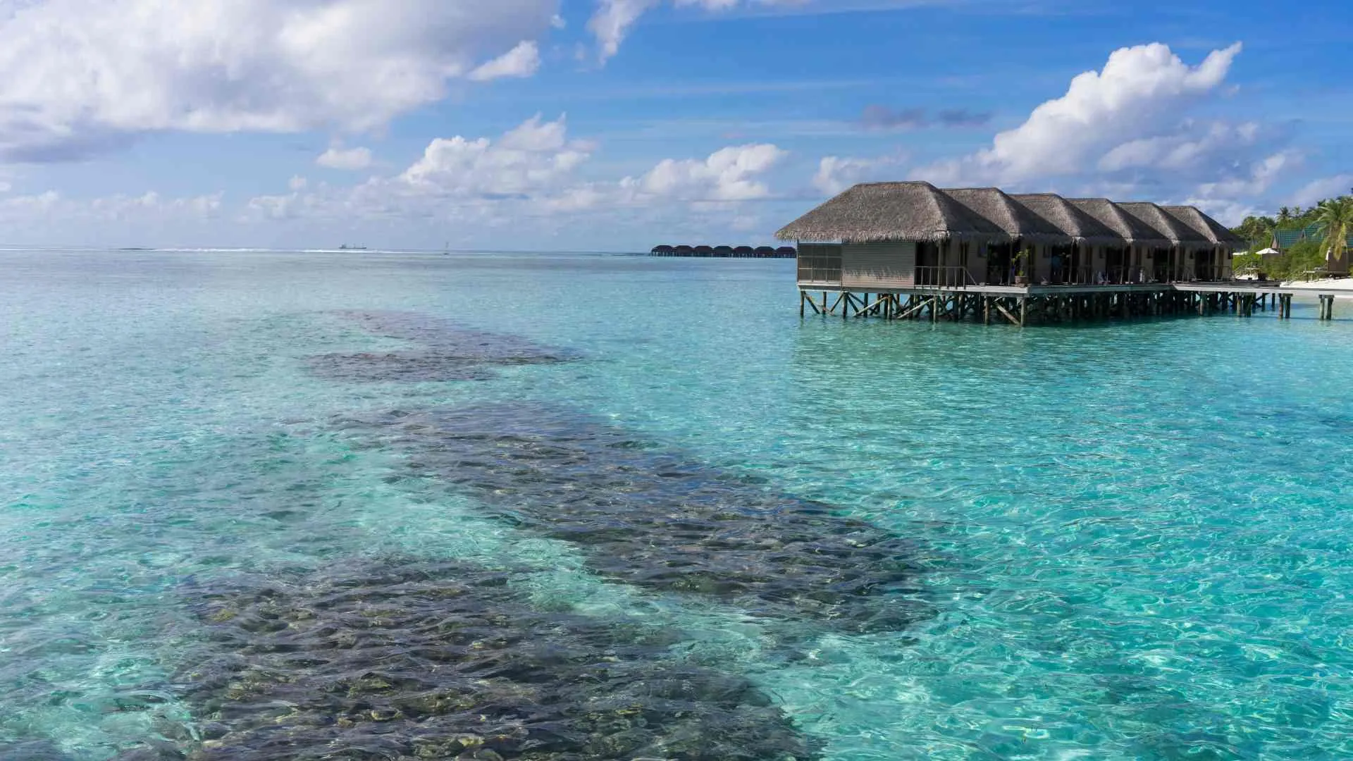 Yok Ha Belize Resort Yok Ha Belize Resort