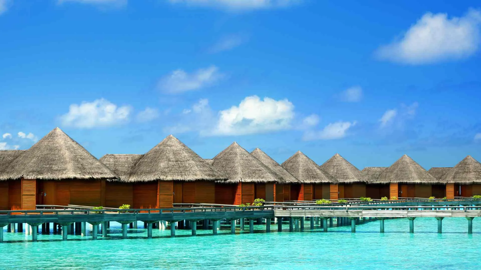 overwater bungalows caribbean-37 overwater bungalows caribbean-5