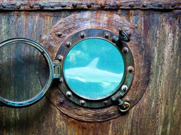 portholes-9