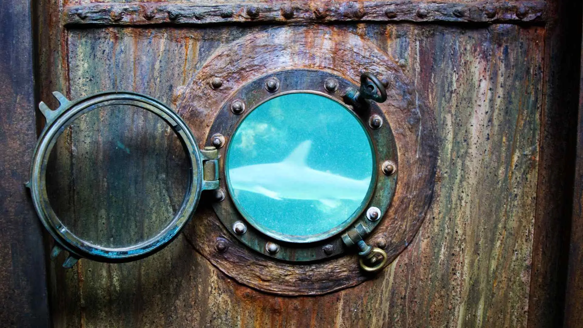 portholes-2 portholes-9