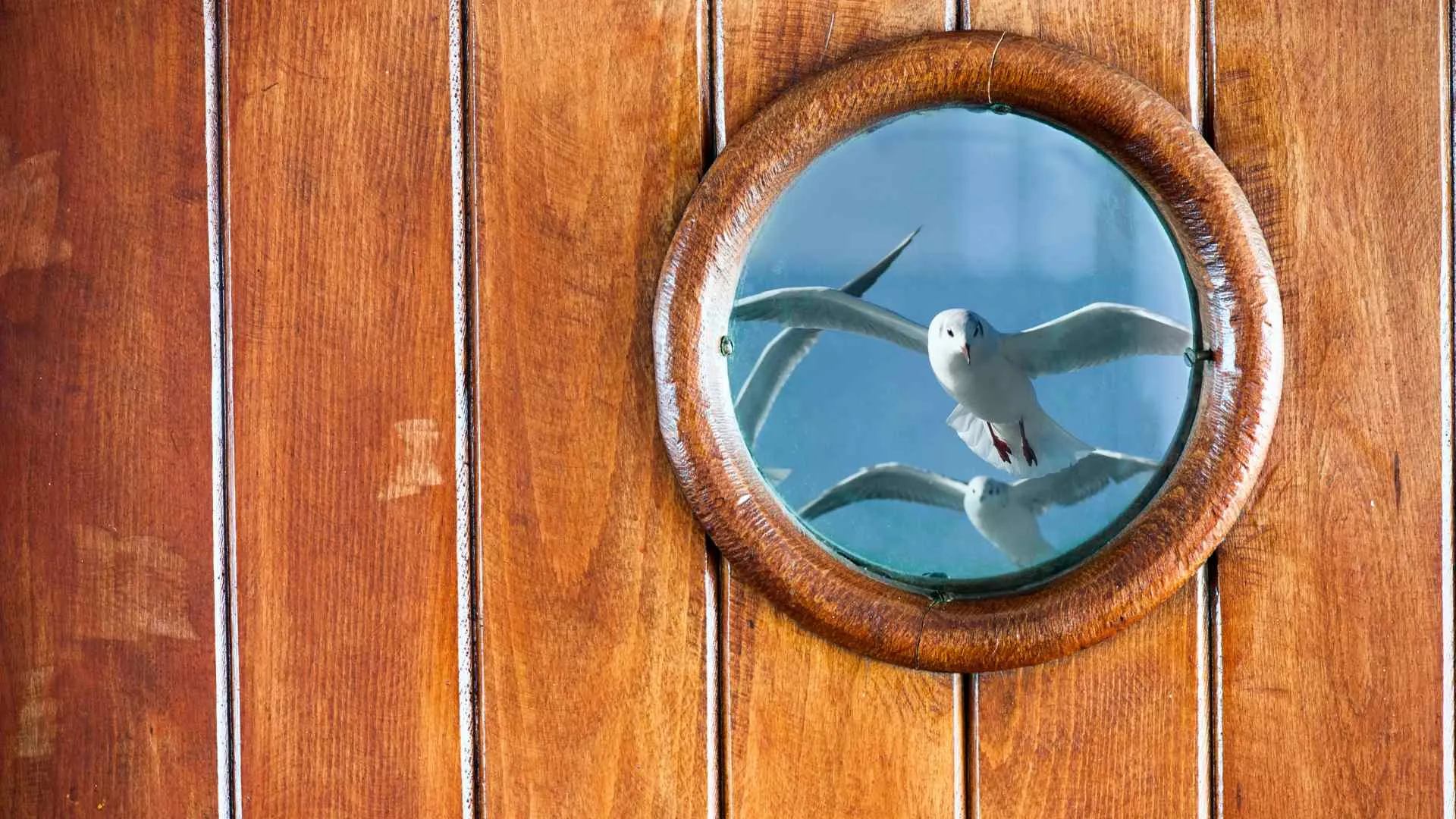 portholes-4 portholes
