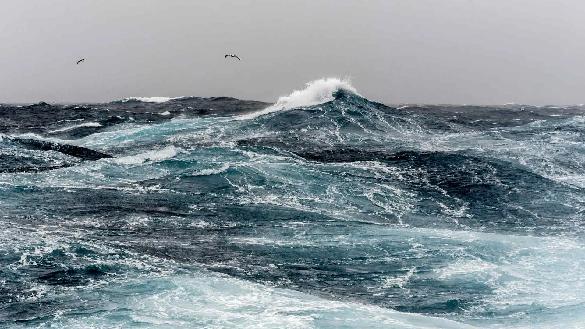 the drake passage-4 drake passage
