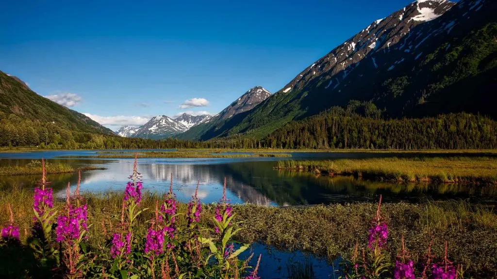 Alaska Weather in August-8