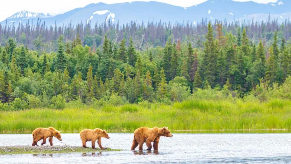 September Alaska weather