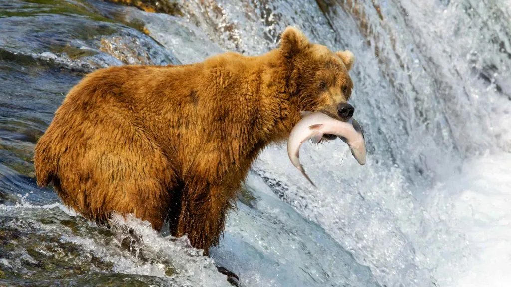 Alaska Weather in September-14