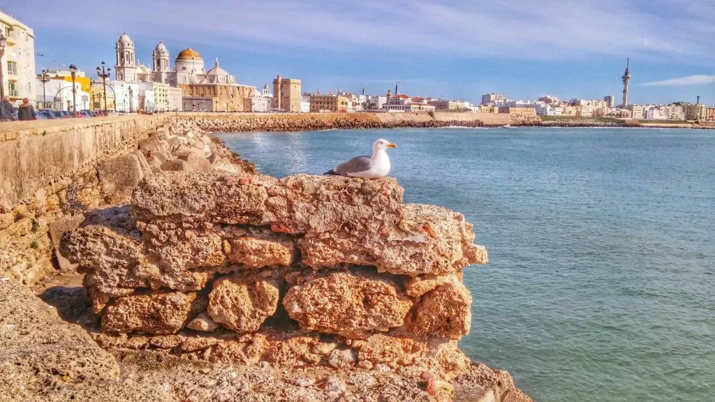 Cádiz Cruise Port