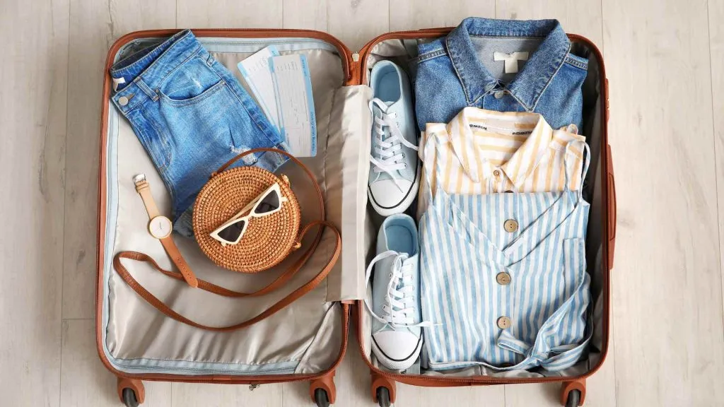 Carnival Cruise Luggage Size-3