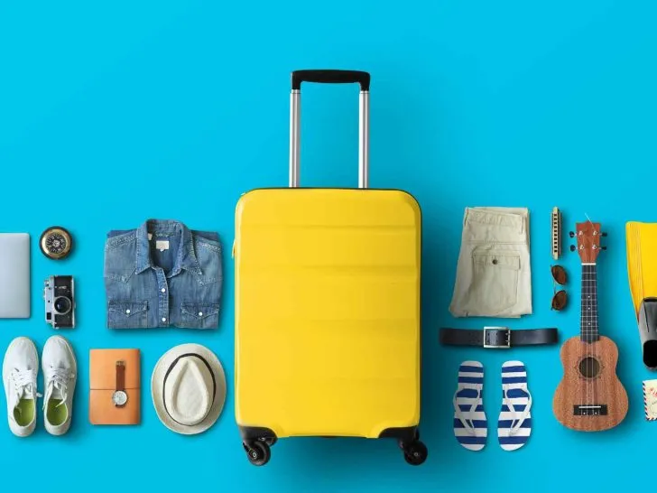 Carnival Cruise Luggage Size-3