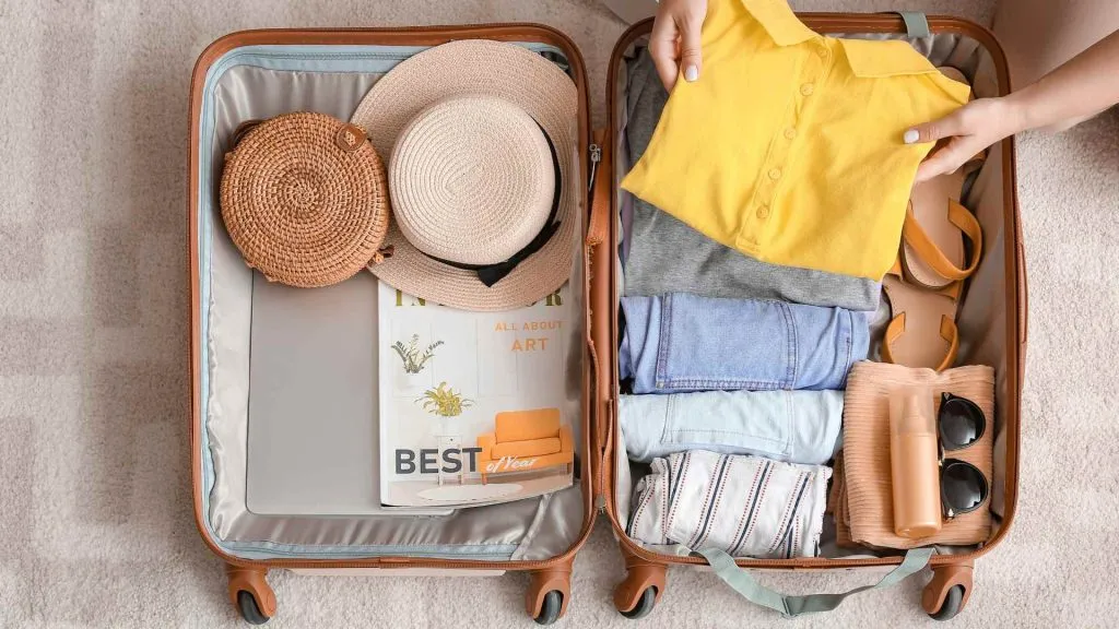 Carnival Cruise Luggage Size-3