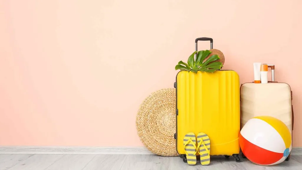 Carnival Cruise Luggage Size-3