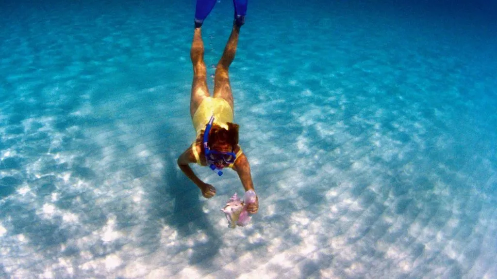 Grand Cayman Cruise Port-10