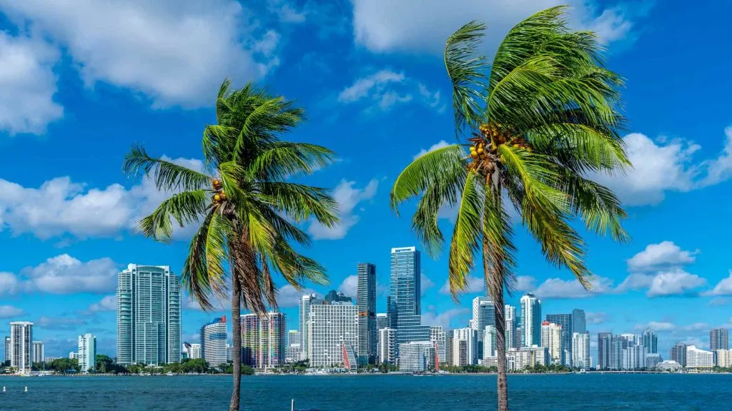 Hotels Near the Miami Carnival Cruise Port-5