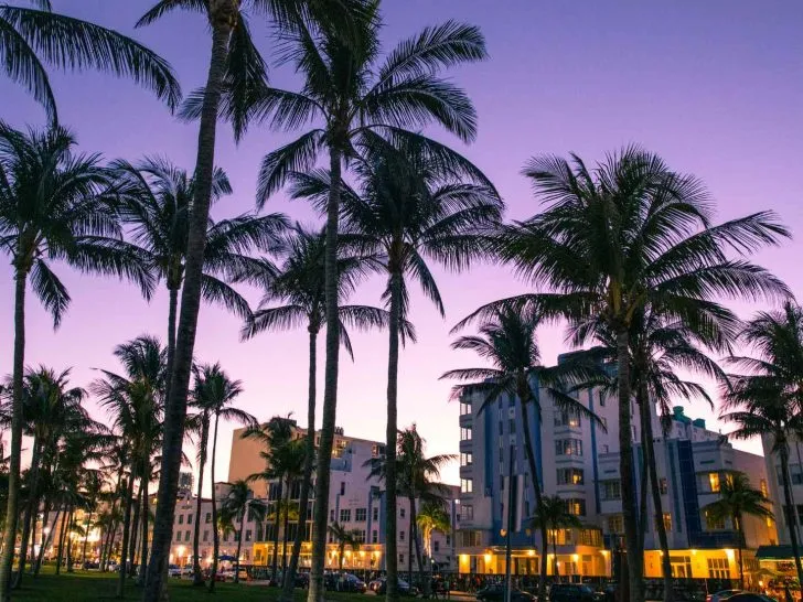Hotels Near the Miami Carnival Cruise Port-5