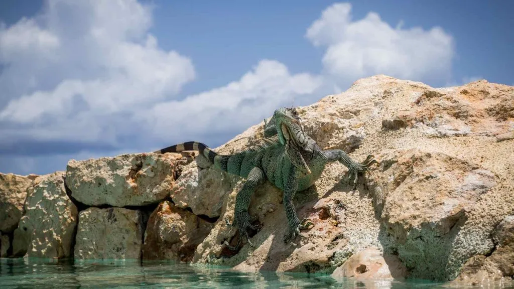 St. Maarten Cruise Port