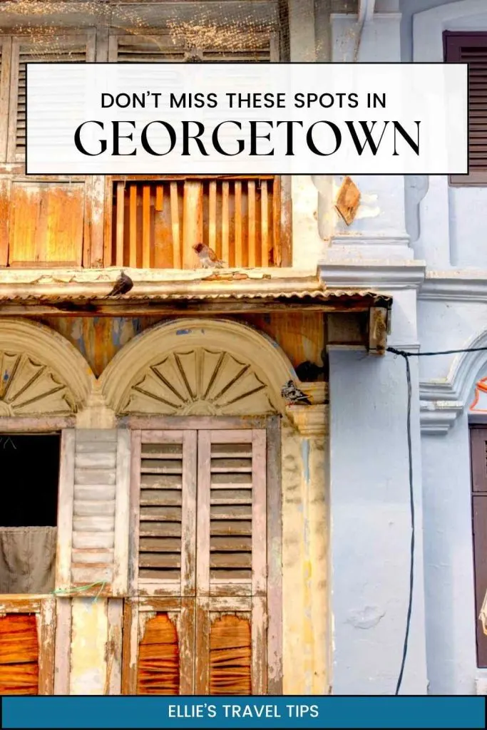 georgetown pin