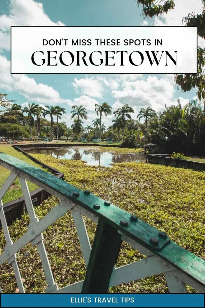 georgetown cruise port pin