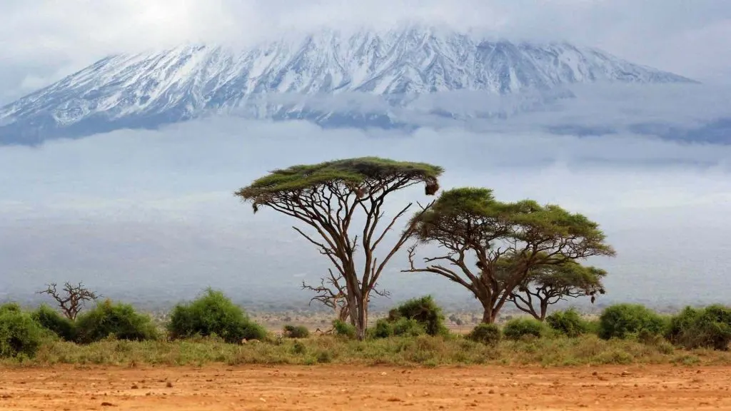 Kilimanjaro