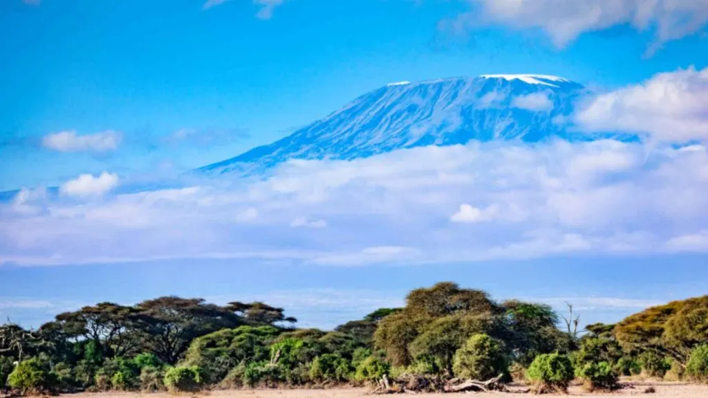 Kilimanjaro