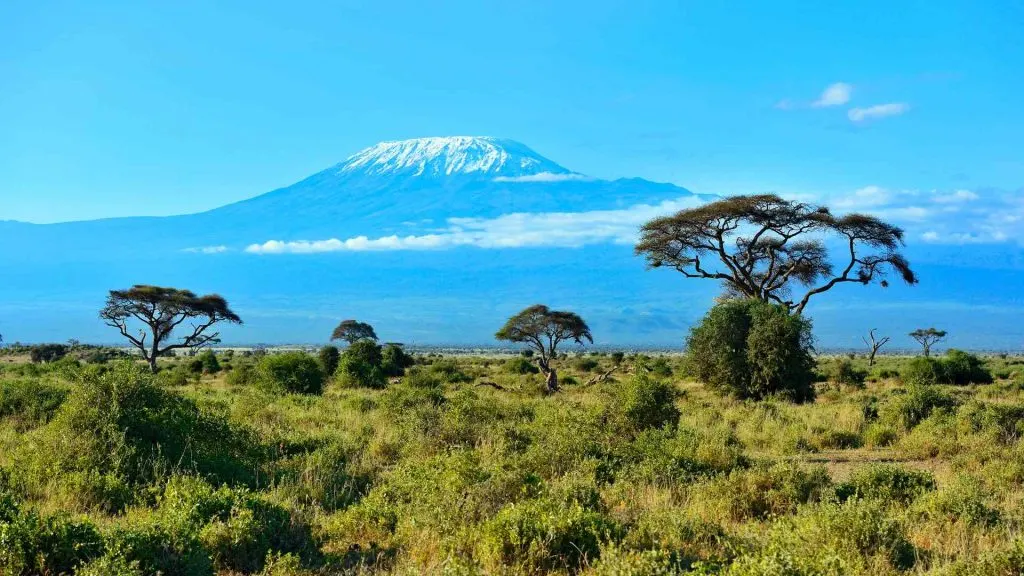 Kilimanjaro