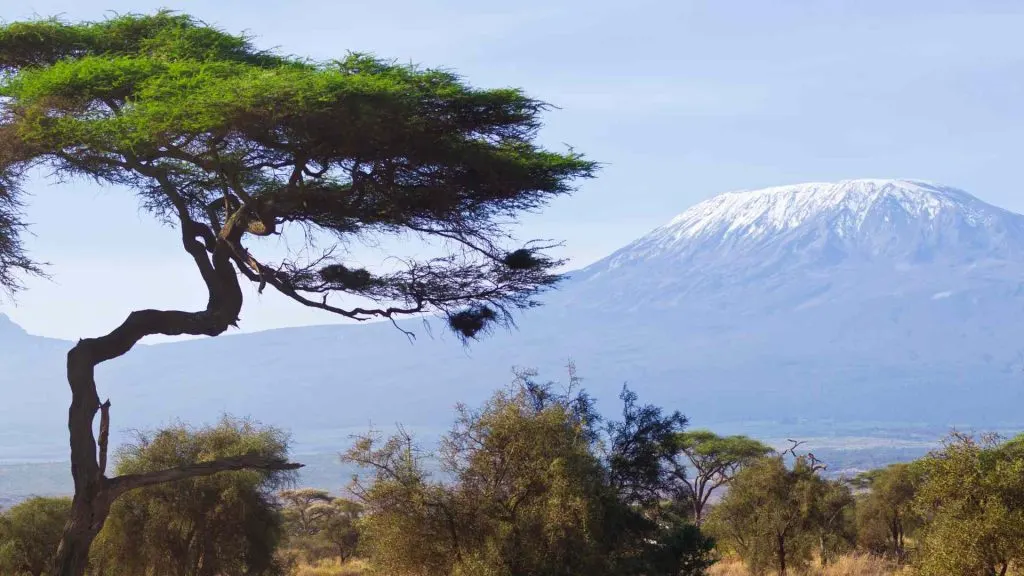 Kilimanjaro