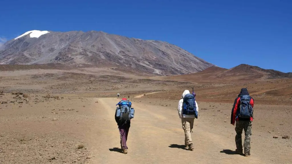 Kilimanjaro