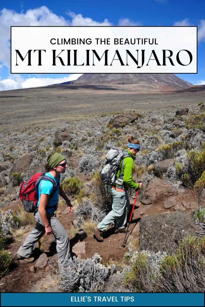 Kilimanjaro